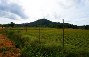 Bukit Langkap: A Modest Hill With a Splendid View