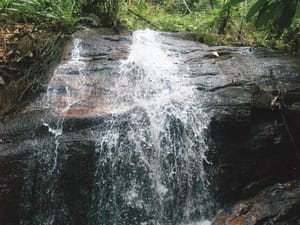 Waterfalls in our Backyard