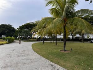 Walkability Badly Desired in Batu Kawan