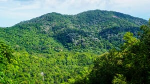 Exploring Bukit Batu Itam: Penang National Park’s Highest Peak